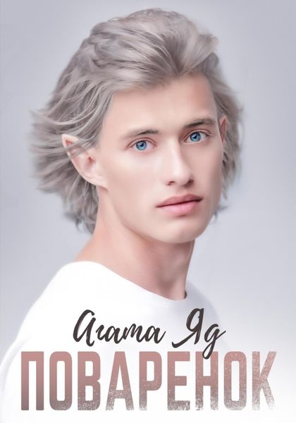 Обложка книги  «Поварёнок»