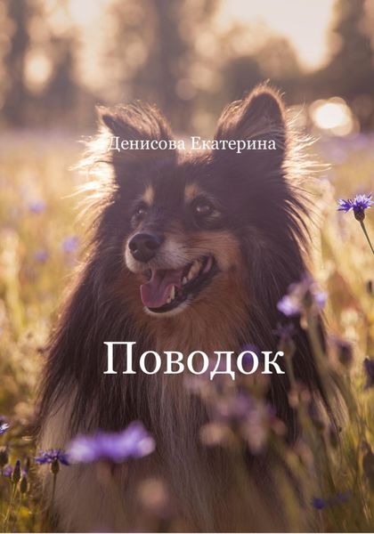 Обложка книги  «Поводок»