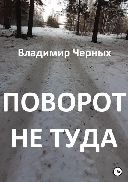 Обложка книги  «Поворот не туда»