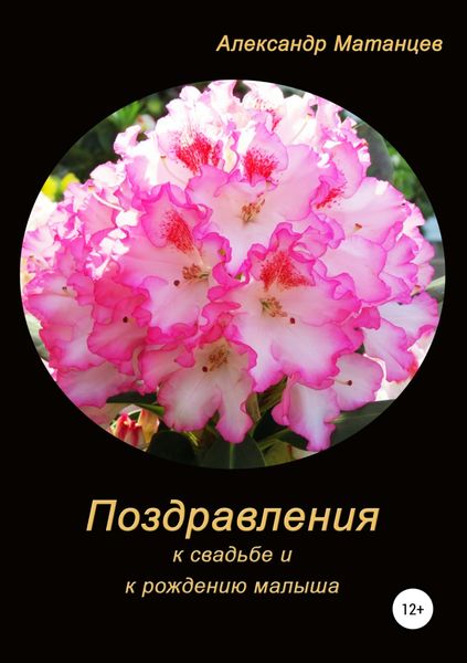 Обложка книги  «Поздравления к свадьбе и рождению малыша»