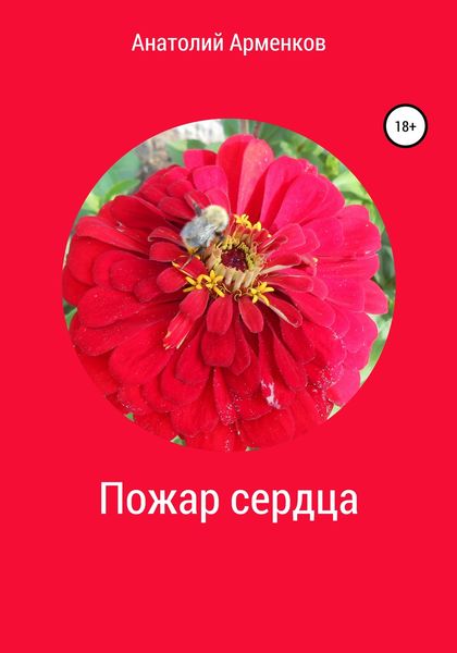 Обложка книги  «Пожар сердца»
