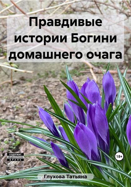 Обложка книги  «Правдивые истории Богини домашнего очага»