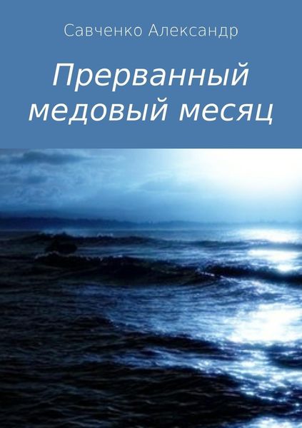 Обложка книги  «Прерванный медовый месяц»
