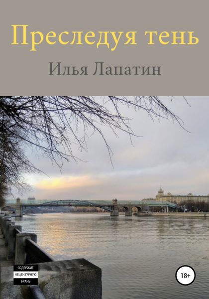 Обложка книги  «Преследуя тень»