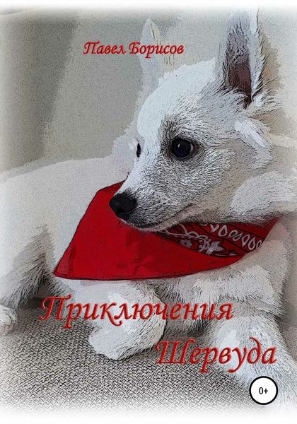 Обложка книги  «Приключения Шервуда»