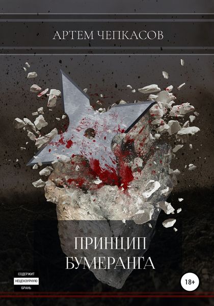 Обложка книги  «Принцип бумеранга»