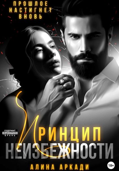 Обложка книги  «Принцип неизбежности»