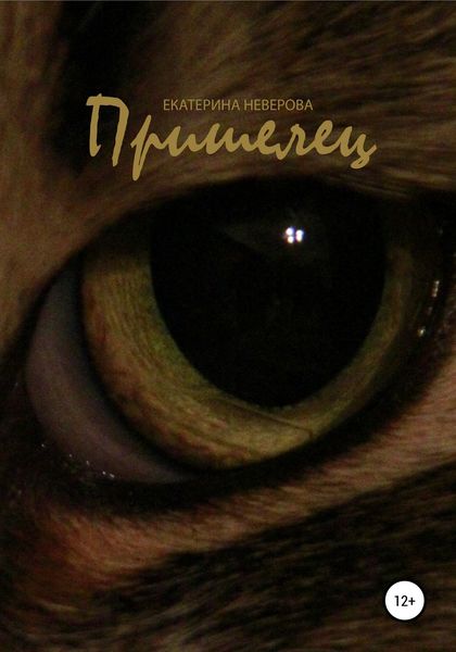 Обложка книги  «Пришелец»