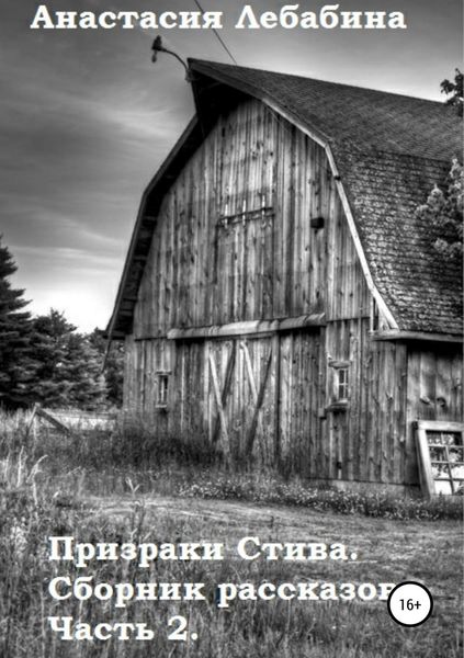 Обложка книги  «Призраки Стива. Сборник рассказов. Часть 2»