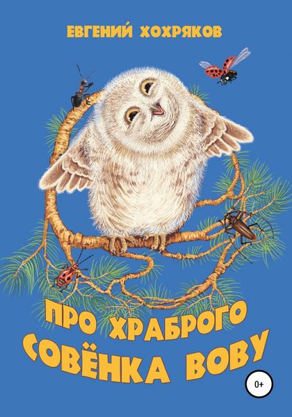 Обложка книги  «Про храброго совёнка Вову»