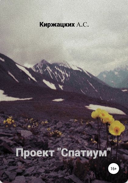 Обложка книги  «Проект «Спатиум»»