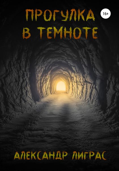 Обложка книги  «Прогулка в темноте»