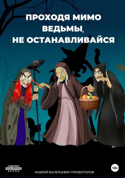 Обложка книги  «Проходя мимо ведьмы, не останавливайся»