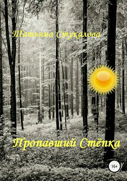 Обложка книги  «Пропавший Стёпка»