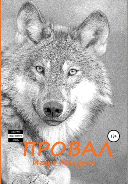 Обложка книги  «Провал»