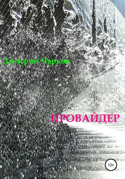 Обложка книги  «Провайдер»