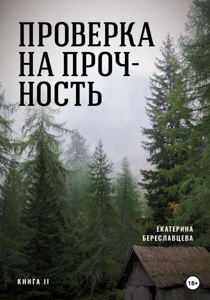Обложка книги  «Проверка на прочность»