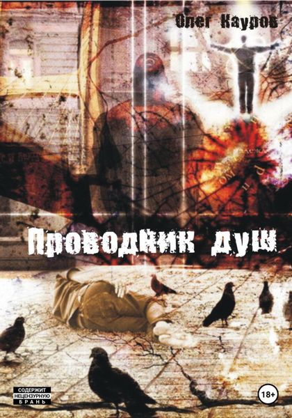 Обложка книги  «Проводник душ»