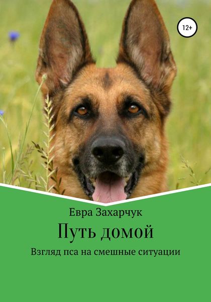 Обложка книги  «Путь домой»