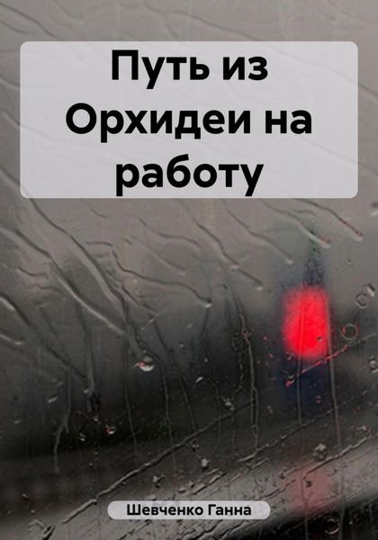 Обложка книги  «Путь из Орхидеи на работу»