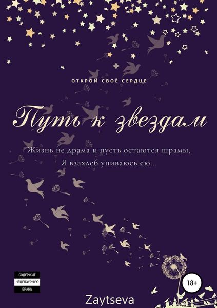 Обложка книги  «Путь к звёздам»