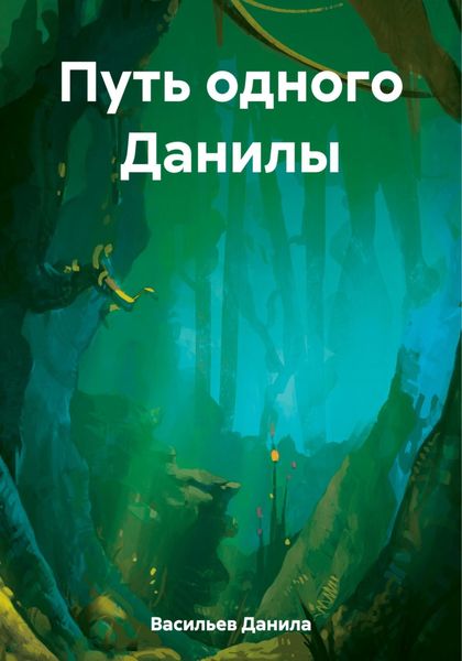 Обложка книги  «Путь одного Данилы»