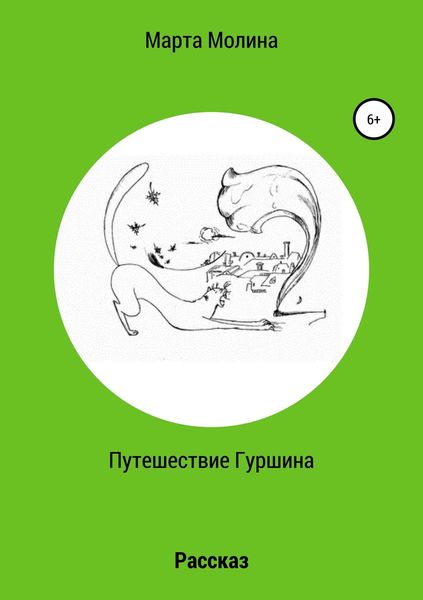 Обложка книги  «Путешествие Гуршина»