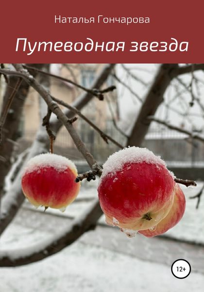 Обложка книги  «Путеводная звезда»