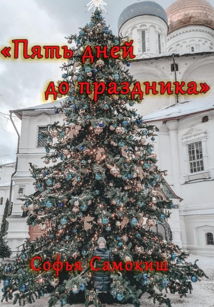 Обложка книги  «Пять дней до праздника»
