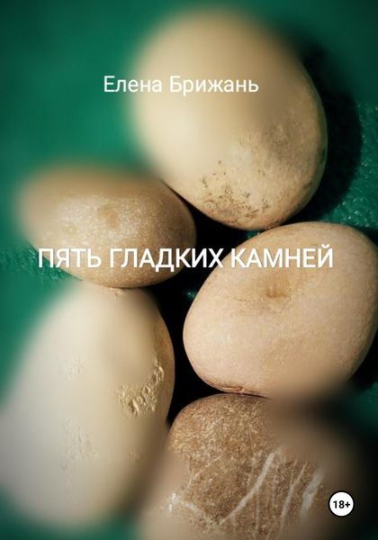 Обложка книги  «Пять гладких камней»