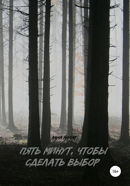 Обложка книги  «Пять минут, чтобы сделать выбор»