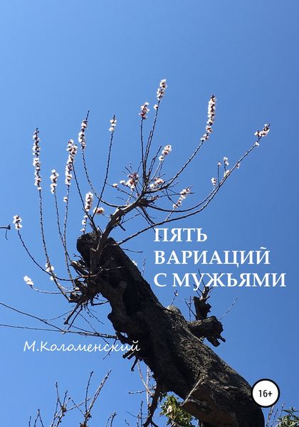 Обложка книги  «Пять вариаций с мужьями»