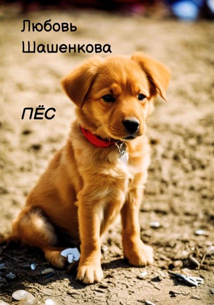 Обложка книги «Пёс»