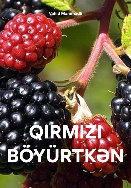 Обложка книги  «QIRMIZI BÖYÜRTKƏN»