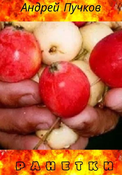 Обложка книги  «Ранетки»