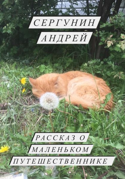 Обложка книги  «Рассказ о маленьком путешественнике»