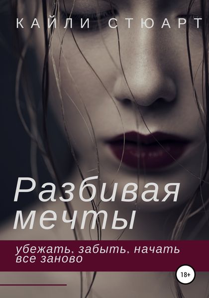 Обложка книги  «Разбивая мечты»