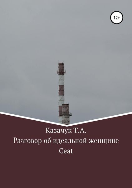 Обложка книги «Разговор об идеальной женщине»