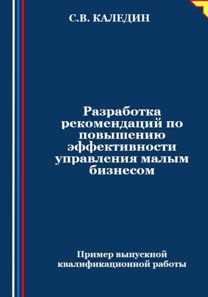 Обложка книги  «Разработка рекомендаций по повышению эффективности управления малым бизнесом»