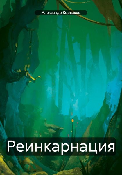 Обложка книги  «Реинкарнация»