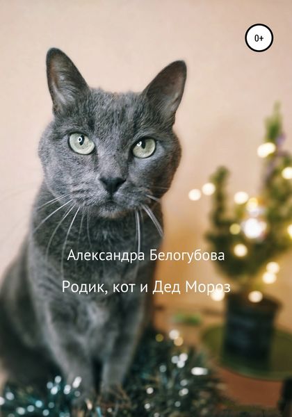 Обложка книги  «Родик, кот и Дед Мороз»
