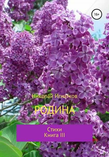 Обложка книги  «Родина. Книга III»