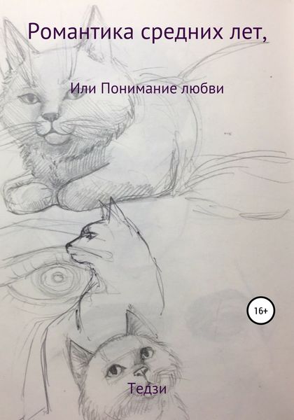 Обложка книги  «Романтика средних лет, или Понимание любви»