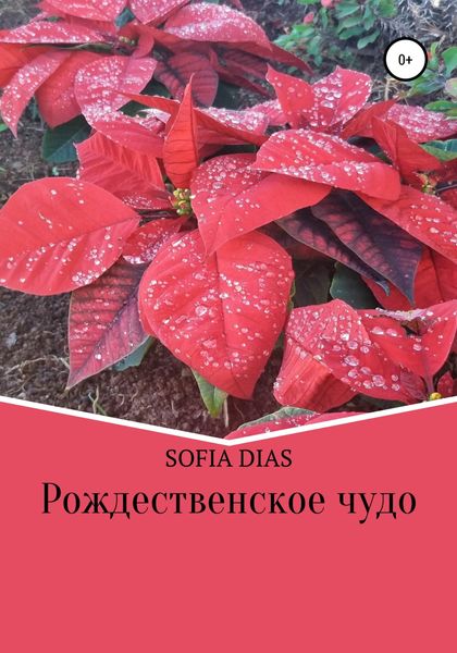 Обложка книги  «Рождественское Чудо»