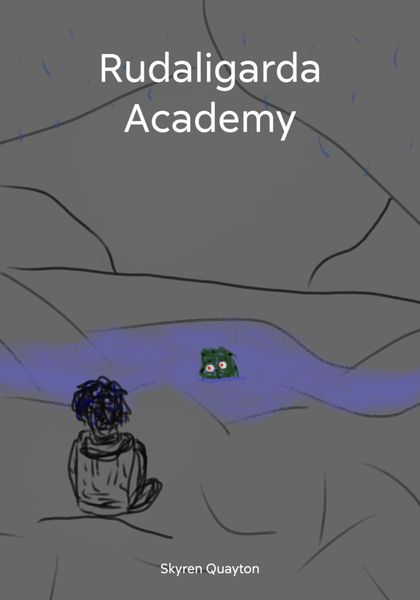 Обложка книги  «Rudaligarda Academy»