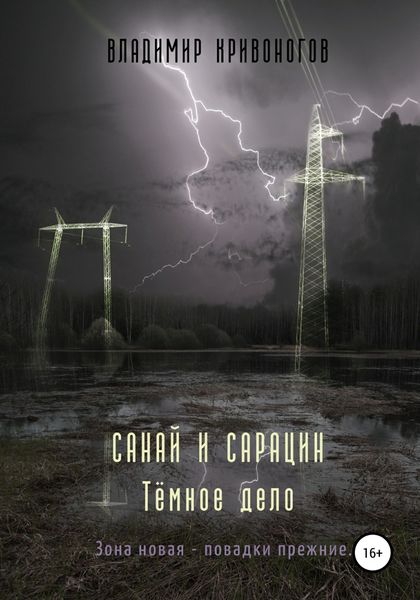 Обложка книги  «Санай и Сарацин. Темное дело»