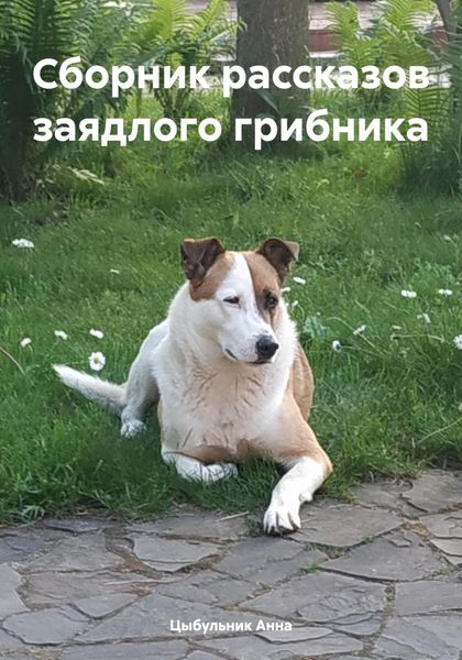 Обложка книги  «Сборник рассказов заядлого грибника»