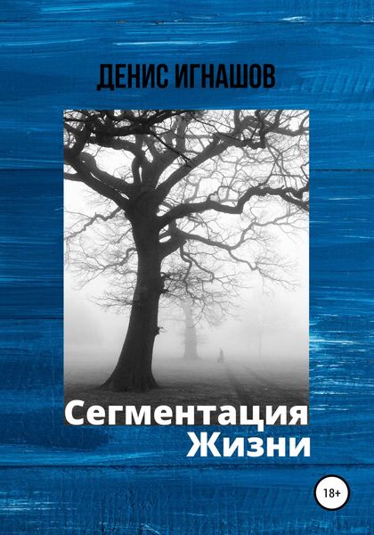 Обложка книги  «Сегментация Жизни»