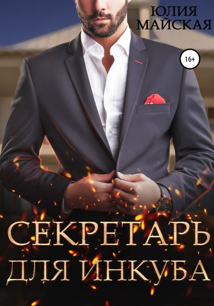 Обложка книги  «Секретарь для инкуба»