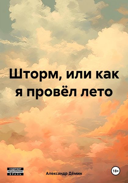 Обложка книги «Шторм, или как я провёл лето»
